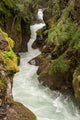 Avalanche Creek Poster Print showcasing Glacier National Park by Janet Horton
