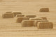 Montana Hay Bales Poster Print by Tom Haseltine, capturing the beauty of rural Montana.