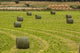 Montana hay bales in a field poster print by Tom Haseltine