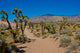 Gold Butte National Monument vista poster print by Bernard Friel
