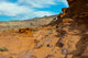 Gold Butte National Monument poster print featuring Little Finland red rock sculptures