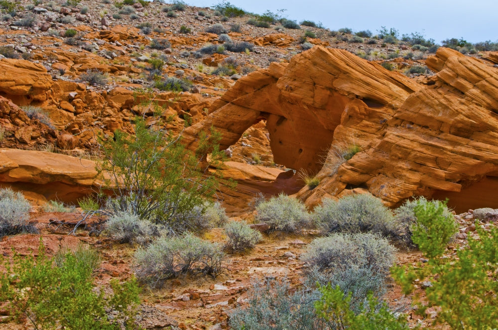 Gold Butte National Monument Little Finland red rock sculptures poster print