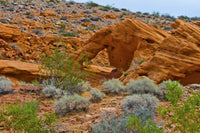 Gold Butte National Monument Little Finland red rock sculptures poster print