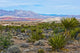 Gold Butte National Monument Million Hills Poster Print by Bernard Friel