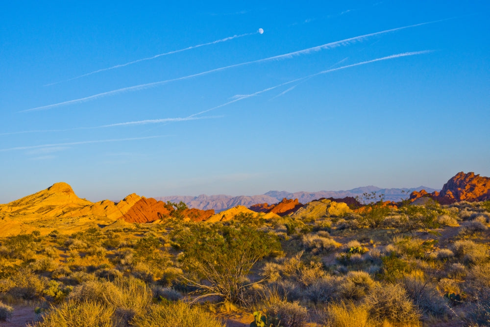 Fire Canyon Silica Dome Poster Print - Valley of Fire State Park