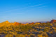 Fire Canyon Silica Dome Poster Print - Valley of Fire State Park