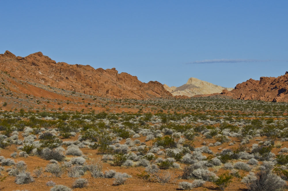 Valley of Fire State Park Highway Views Poster Print by Bernard Friel