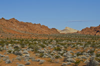 Valley of Fire State Park Highway Views Poster Print by Bernard Friel