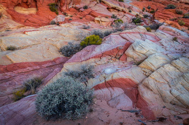 Multi-colored rock formations in Valley of Fire State Park poster print by Jaynes Gallery.