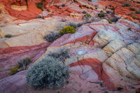 Multi-colored rock formations in Valley of Fire State Park poster print by Jaynes Gallery.