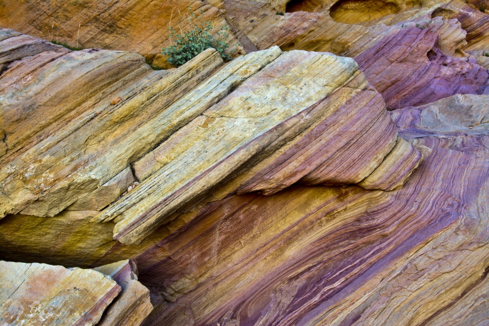 Close-up Rainbow Vista art print from Valley of Fire State Park, Nevada
