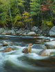 Autumn Trees and Flowing River poster print showcasing vibrant fall colors.
