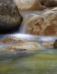 Flowing stream close-up poster print from New Hampshire's White Mountains.