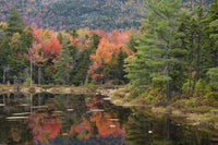 Stunning autumn lake reflections in New Hampshire's White Mountains poster print.