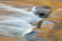 Autumn Reflections in Sabbaday Brook Poster Print by Jaynes Gallery