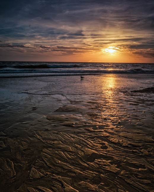 Cape May National Seashore Sunset Poster Print by Jaynes Gallery