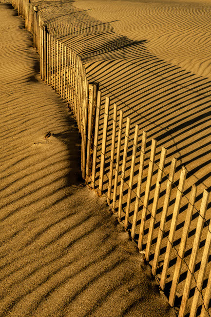 Cape May National Seashore Fence Shadow Poster Print by Jay O'Brien