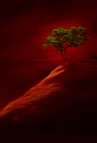Red Rock State Park Abstract Poster Print featuring a lone tree at sunset.
