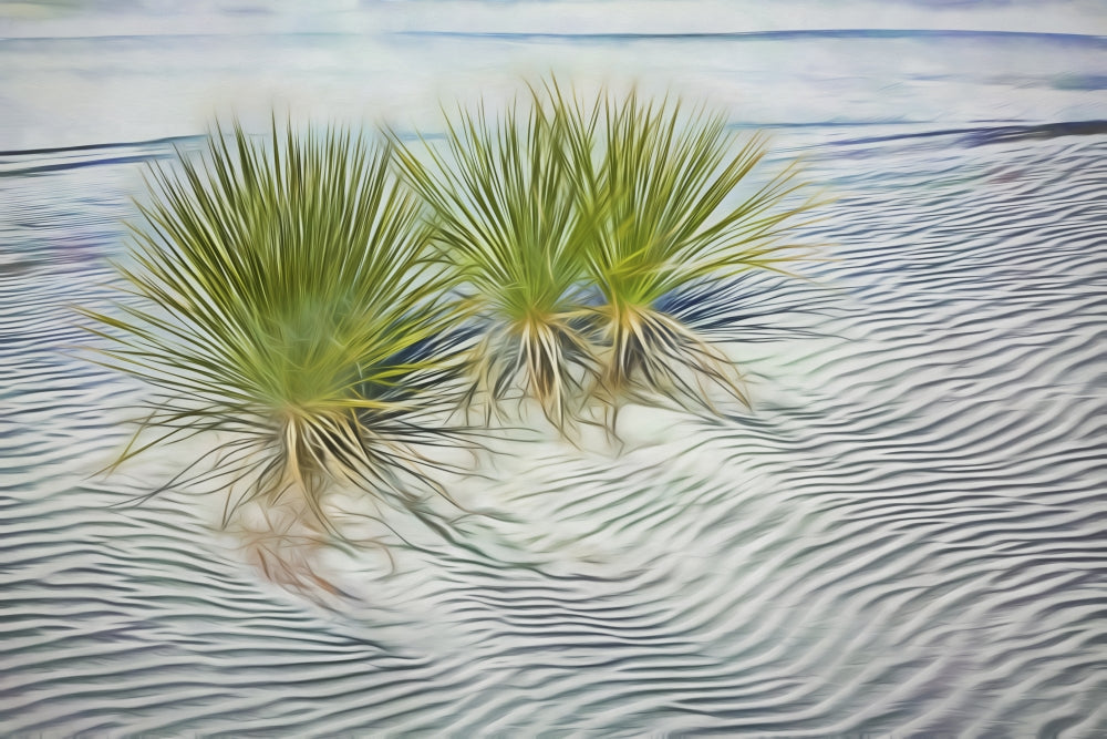 Agaves in White Sands National Monument poster print