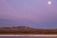 Bosque del Apache National Wildlife Refuge poster print featuring flying birds and a full moon at sunrise.
