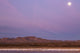Bosque del Apache National Wildlife Refuge poster print featuring flying birds and a full moon at sunrise.