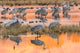 Sandhill cranes in water at sunrise at Bosque del Apache National Wildlife Refuge