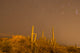 Saguaro cactus and starry night sky poster print from Sabino Canyon.