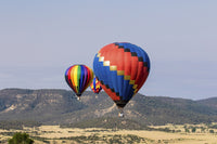 Colorful hot air balloon poster print by Larry Ditto