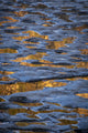 Reflections in Water on Rock Poster Print from Watkins Glen, NY