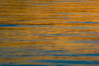 Adirondack State Park Sunset on Lake Poster Print by Jay O'Brien
