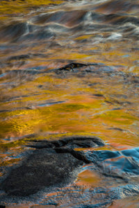 Autumn Reflections on Stream Poster Print by Jay O'Brien showcasing vibrant fall colors in Adirondack State Park.