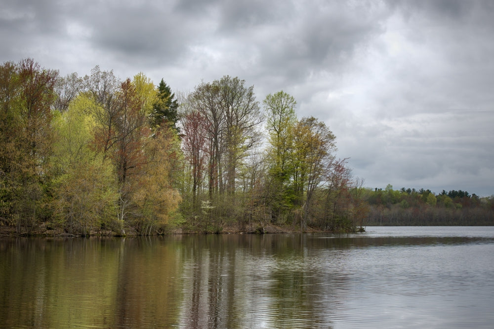 Spring Trees Reflected in Mud Lake Poster Print by Chris Murray