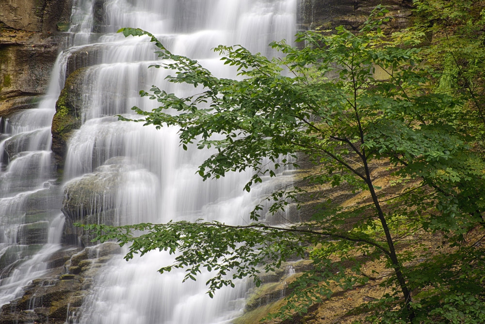 Pratts Falls Poster Print by Chris Murray showcasing New York State's beauty.