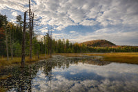 Reflections in Pond in Autumn Poster Print by Chris Murray depicting tranquil autumn colors in the Adirondack Mountains.