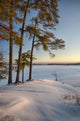 Winter Sunrise Along the St. Lawrence River Poster Print by Chris Murray