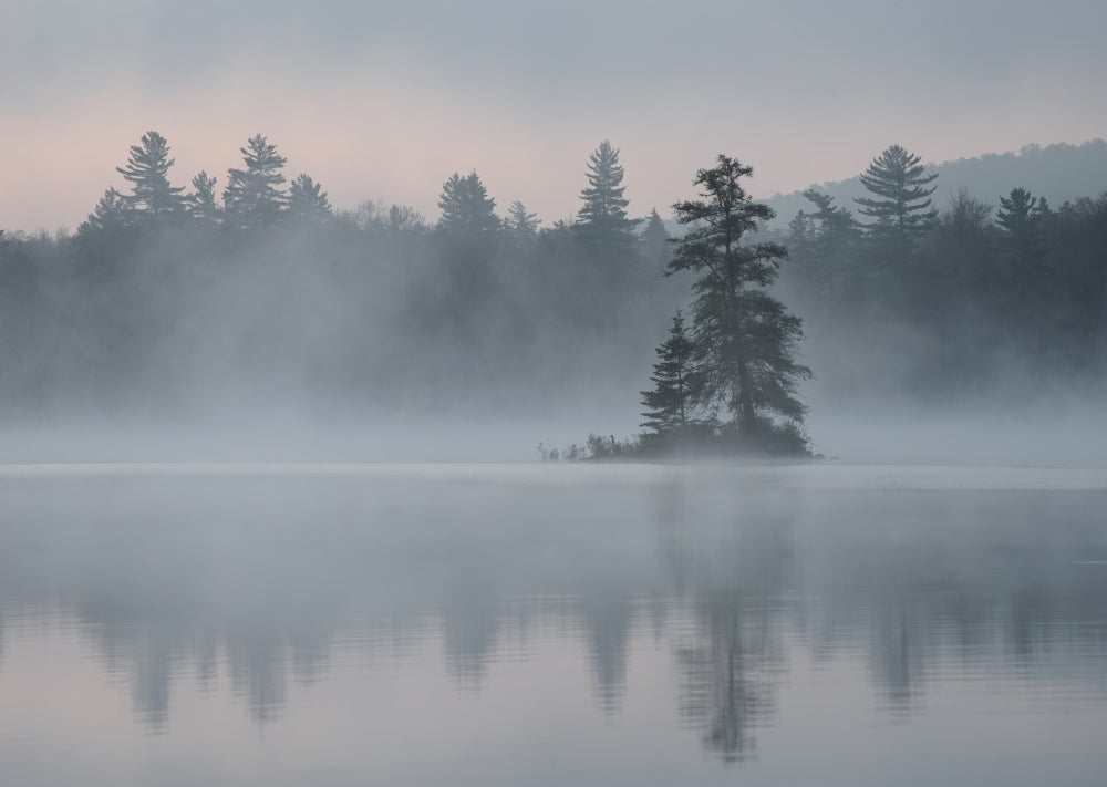 Morning mist and reflections on Lake Durant poster print by Chris Murray