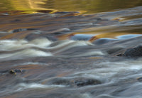 Autumn Reflections in the Bog River poster print showcasing vibrant fall colors in the Adirondack Mountains.