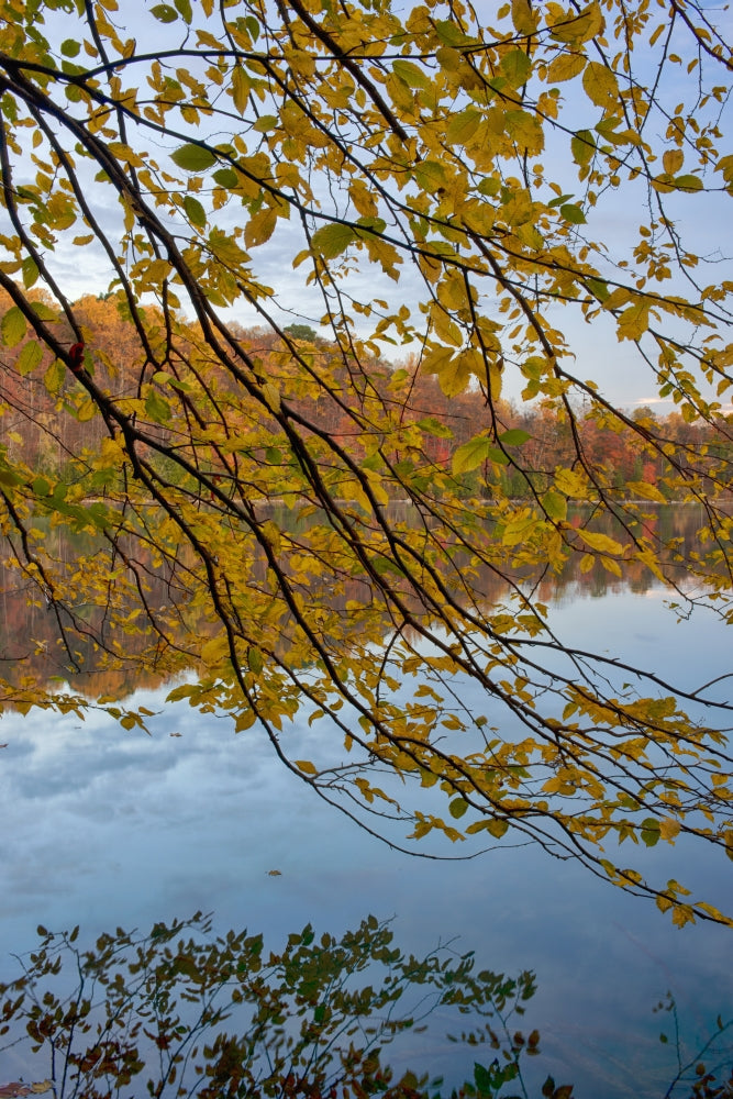 Calm Autumn Morning on Green Lake Poster Print by Chris Murray