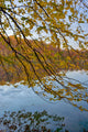 Calm Autumn Morning on Green Lake Poster Print by Chris Murray