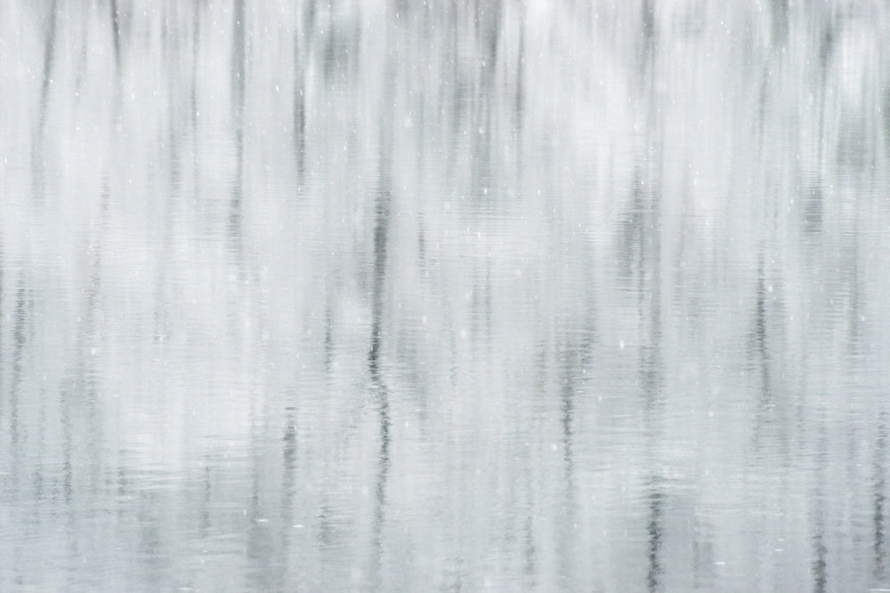Snow-covered trees reflected in Green Lake, Green Lakes State Park, poster print by Chris Murray.