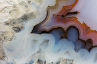 Banded Agate Close-Up Art Print by Darrell Gulin showcasing intricate patterns and colors