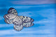 Paper Kite Butterfly Reflection Poster Print by Darrell Gulin, showcasing vibrant colors in blue water.