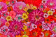 Flower Pattern Poster Print showcasing vibrant blooms from Sammamish, Washington State
