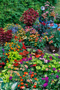 Garden in Full Bloom poster print by Darrell Gulin showcasing vibrant colors.