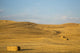 Bales of straw in a field in the Palouse region of Washington State
