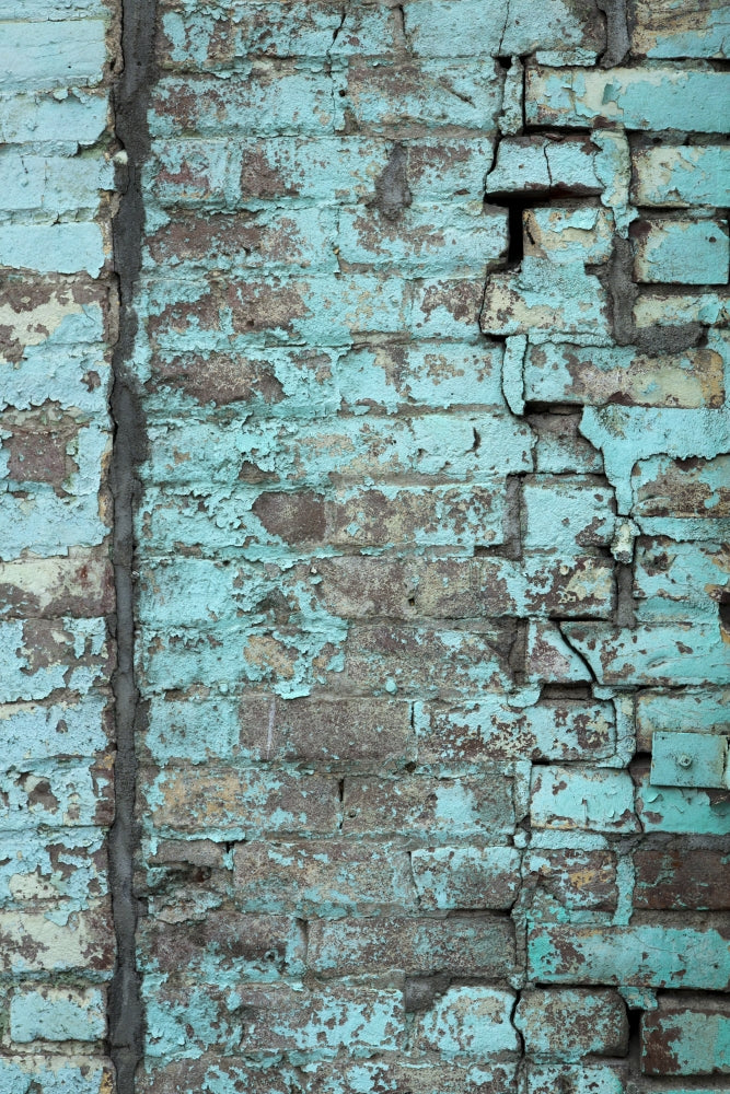 Palouse Painted Brick Historic Building Poster Print by Deborah Winchester