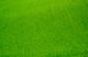 Palouse Green Field Poster Print featuring lush green landscapes by George Theodore.