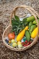 Basket of freshly harvested produce poster print featuring lemons, cucumbers, squash, strawberries, and tomatoes.