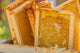 Close-up poster print of uncapped honey frames in a tub, ready for extraction.