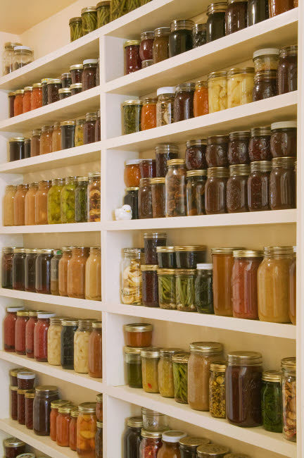 Pantry of Preserved Fruits and Vegetables Poster Print by Janet Horton